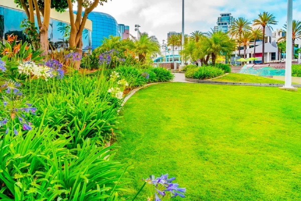 How Landscape Installation Improves Property Drainage Bolivia, NC