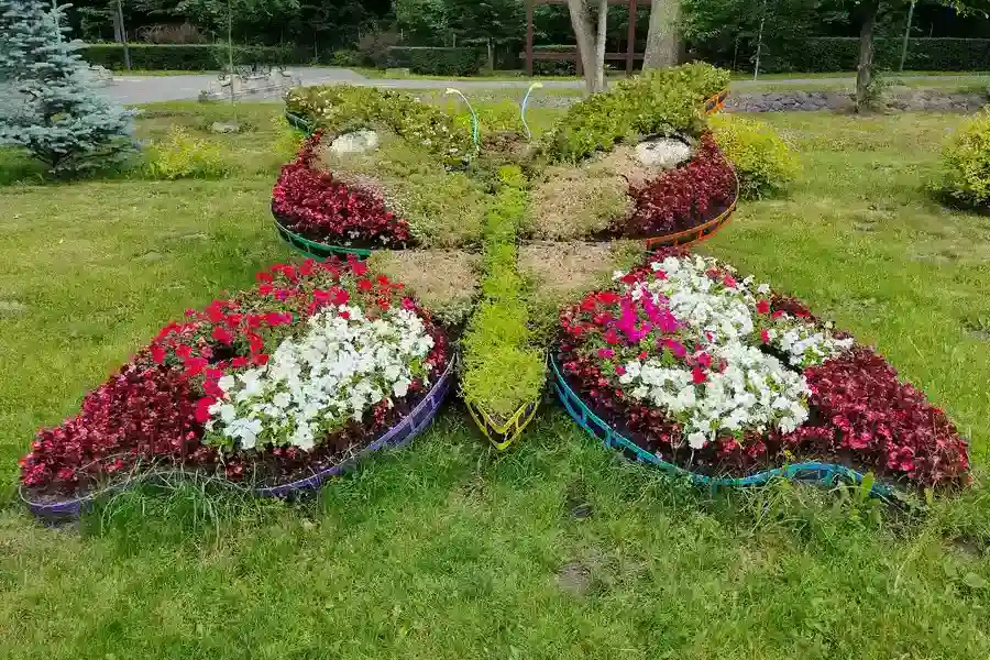 How Landscape Installation Improves Property Drainage in Bolivia, NC