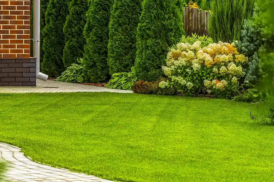 Quality Lawn Care Services Bolivia, NC