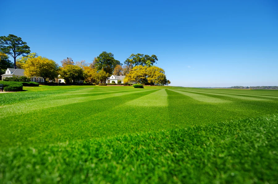 The Importance Of Seasonal Lawn Care For Long-term Health in Bolivia, NC