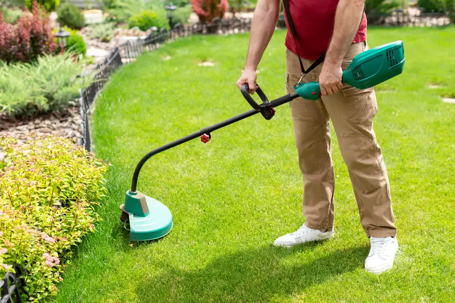 Top-rated Lawn Care Services Bolivia, NC